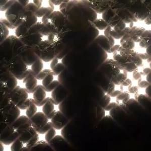 Meet your Posher, Teddy